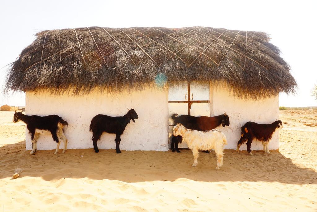 Mala Ki Dhani Jaisalmer Exterior foto